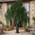 Artificial Weeping Willow Tree 13ft Indoor Use