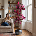 Brazilian Iron Wood Artificial Green Landing Plant for Home Interior