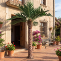 Artificial Date Palm Tree 13 FT Natural Wood Trunk Hotel Use