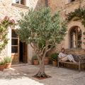 Artificial Olive Tree 10 FT Custom Made for Home Interior