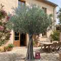 Artificial Olive Tree Large Realistic Indoor Outdoor Use