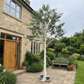 Large Artificial Birch Tree for Indoor Outdoor Decor