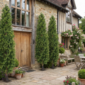 Artificial Cypress Tree 3.5 M Realistic Look Indoor Outdoor