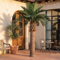 Artificial Date Palm Tree UV Resistant Indoor Outdoor