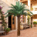Artificial Date Palm Tree UV Resistant Outdoor Use