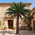 Artificial Date Palm Tree Lifespan Outdoor Use