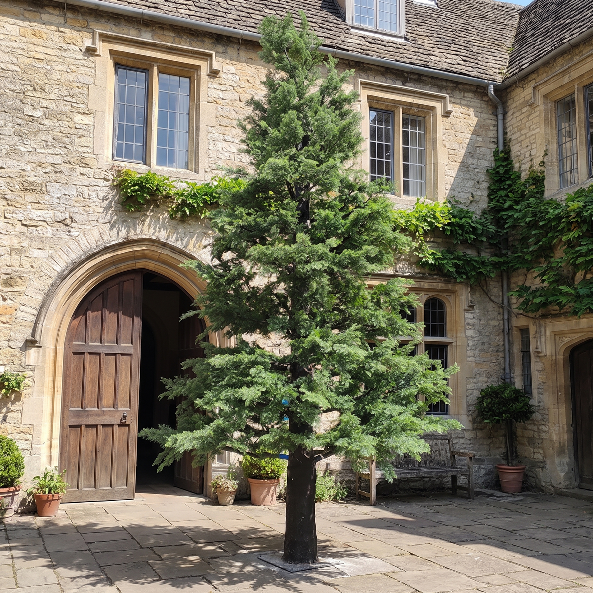 Outdoor Decorative Metasequoia Tree for Landscaping