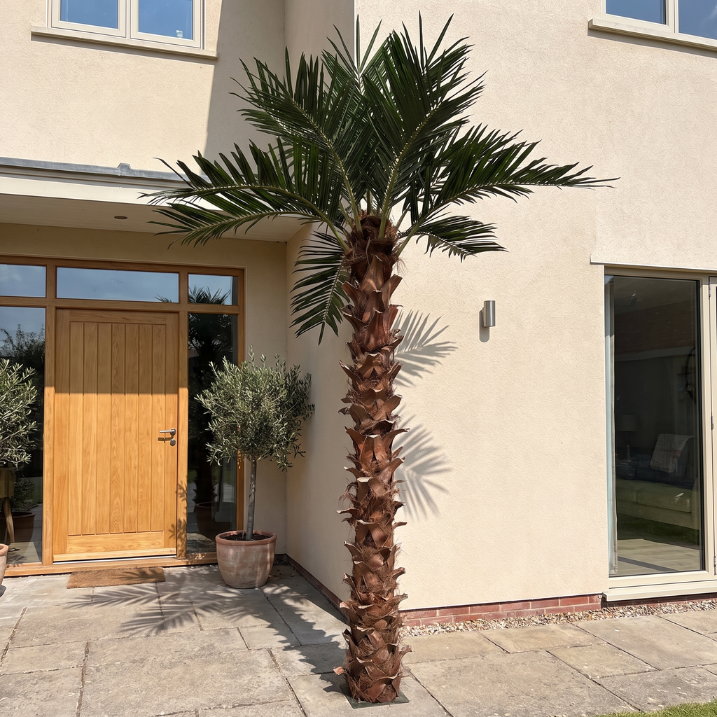 Outdoor Decorative Coconut Palm Tree for Landscaping Use