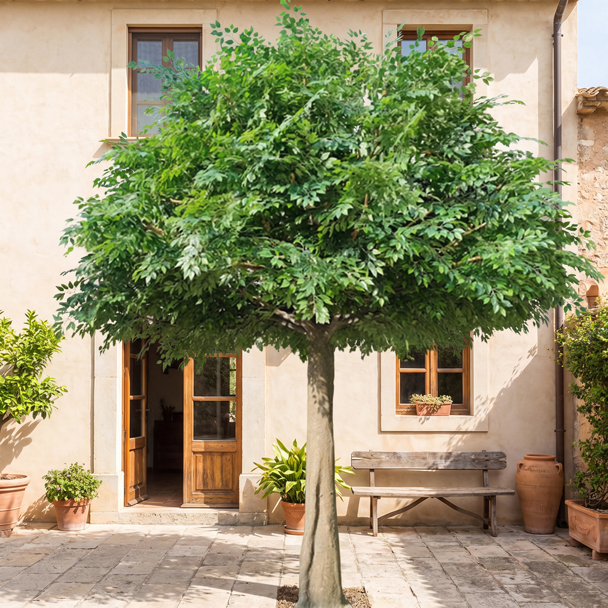 Large Artificial Ficus Tree with Fiberglass Trunk Decor