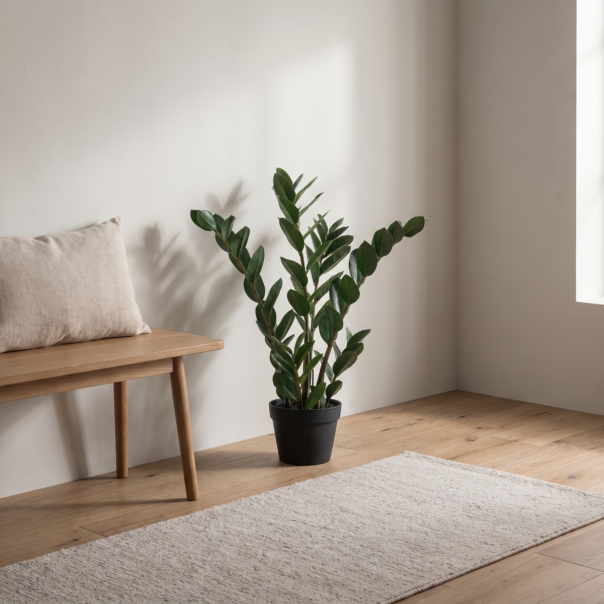 Artificial ZZ plant with real-touch leaves in a black pot