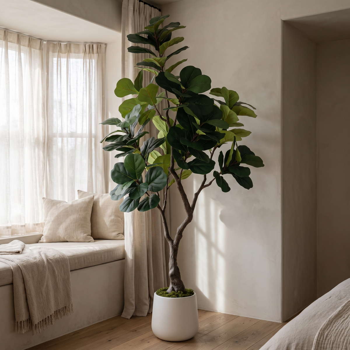 Artificial fiddle leaf fig tree in a white pot with moss-topped soil