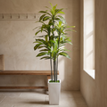 Artificial dracaena tree in a tall white planter topped with faux moss