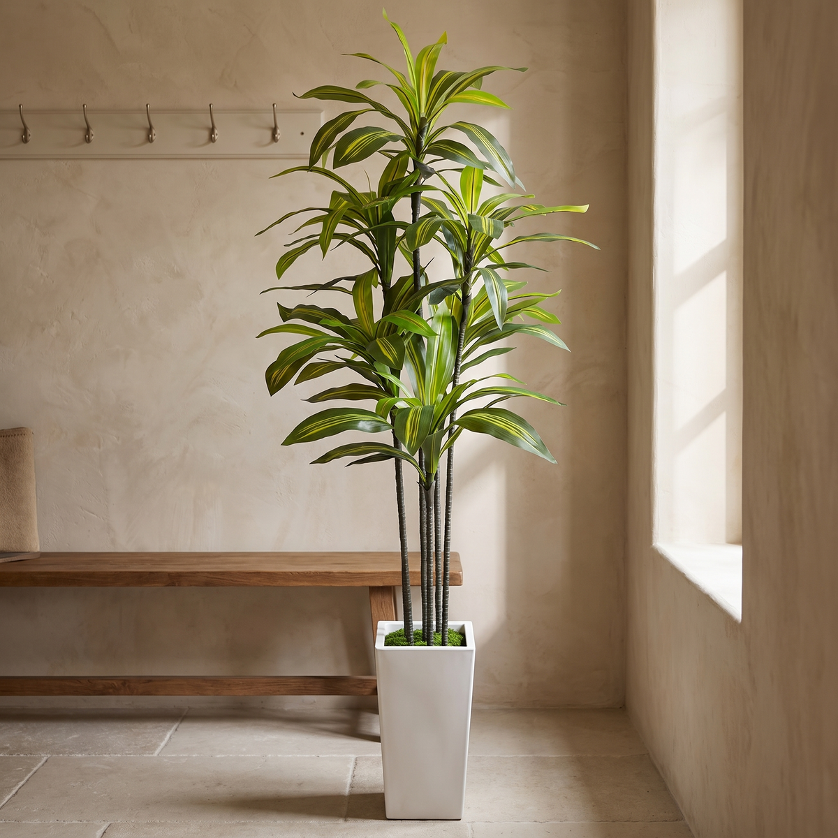 Artificial dracaena tree in a tall white planter topped with faux moss