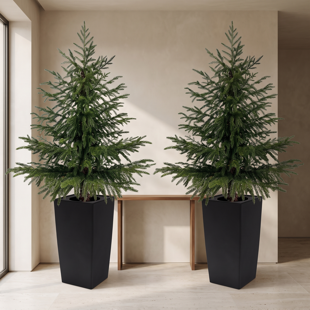Pair of artificial Norfolk pine trees in matching planters