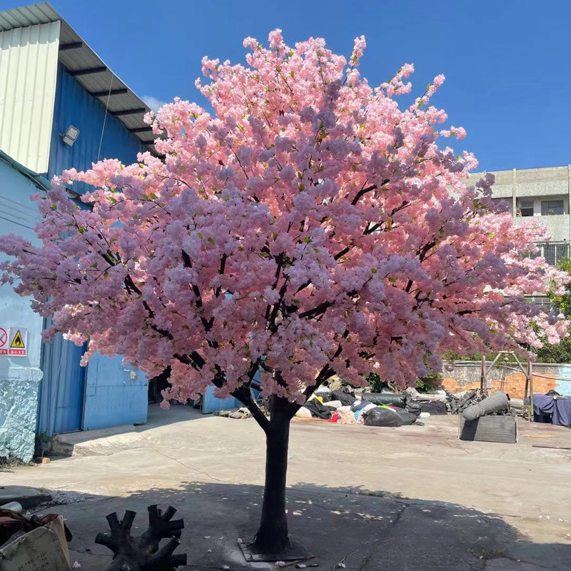 Close-up of the sakura blossoms clustered thickly along the slim branch tips