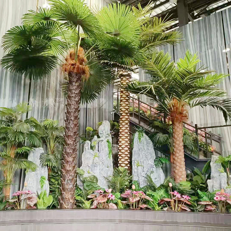 Close-up of the palm fronds showing the leaflets ribbed along each spine
