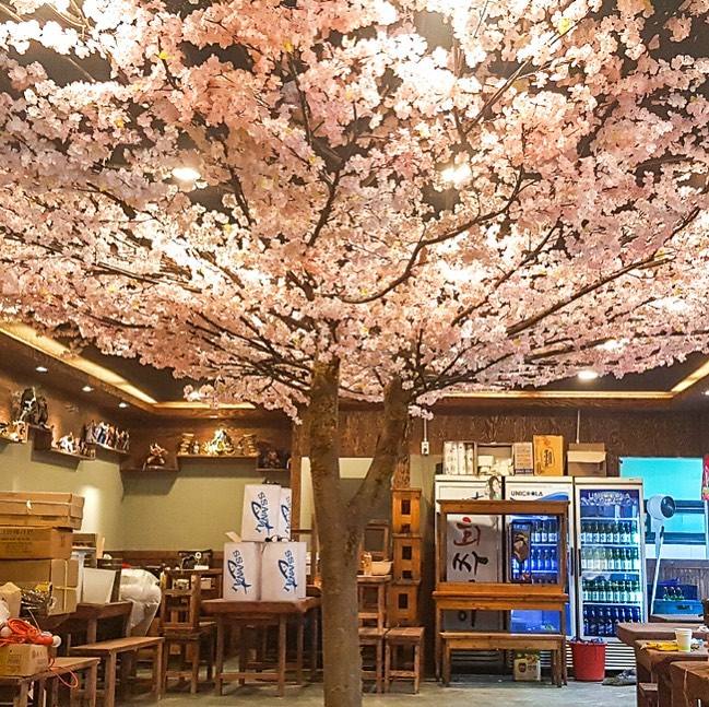 The sakura tree in a restaurant interior standing beside the dining tables