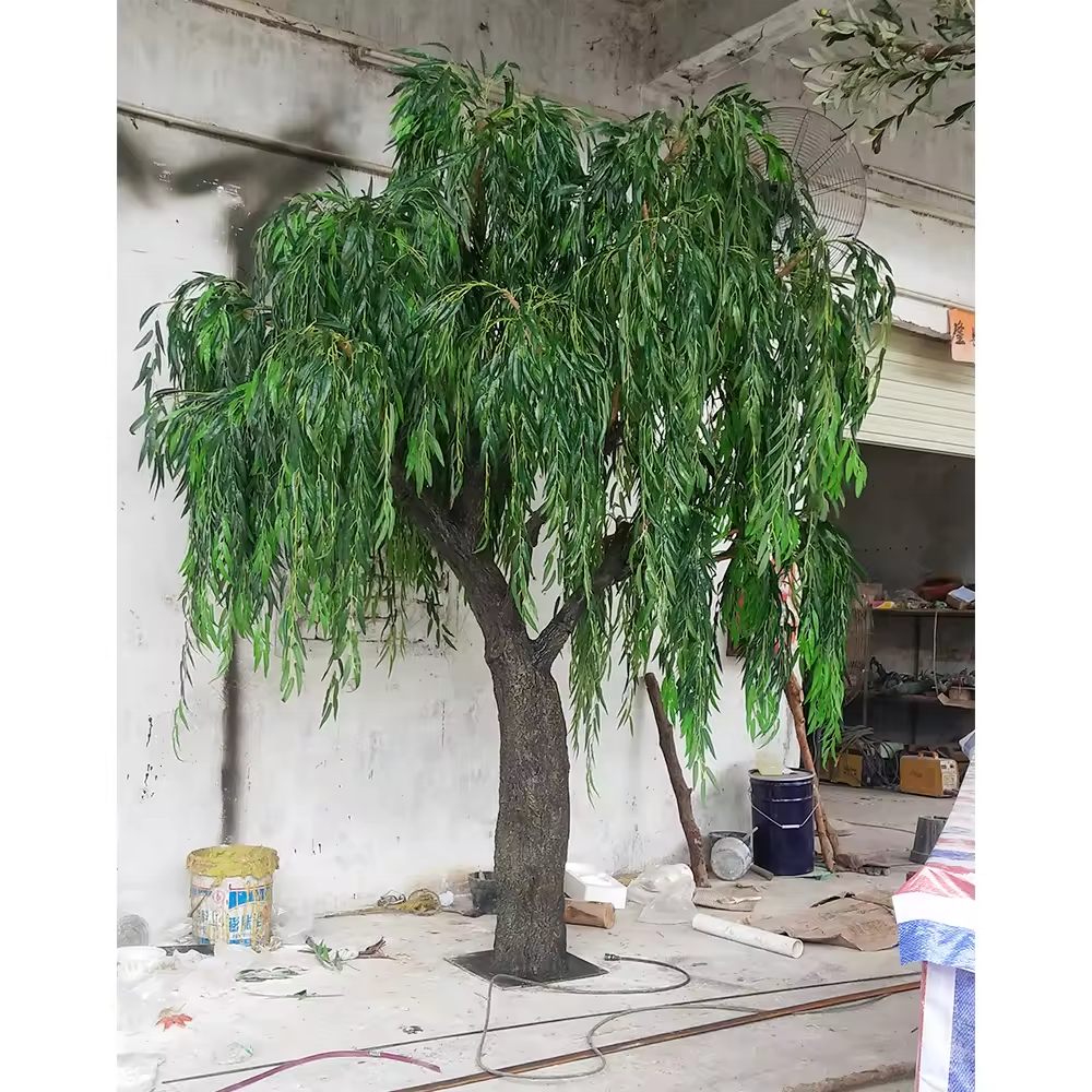 The 3.5m willow planted outdoors as a garden landscaping feature tree