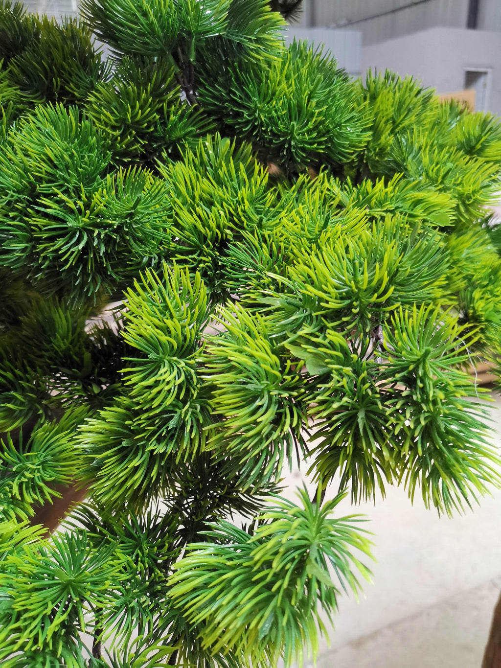 Pot and base of the artificial podocarpus pine, topped with moss and stone