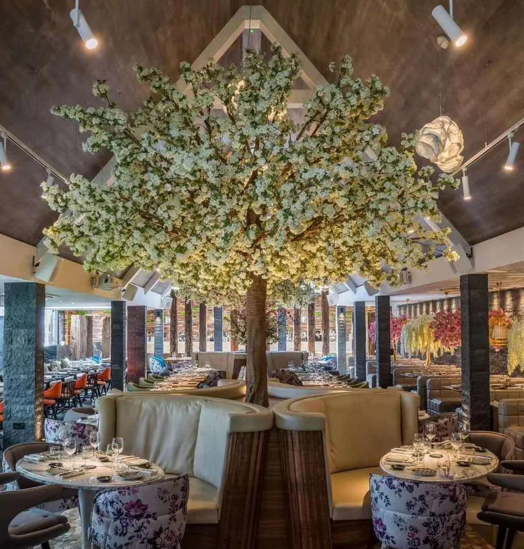 The crown of the sakura tree seen from below against a bright ceiling
