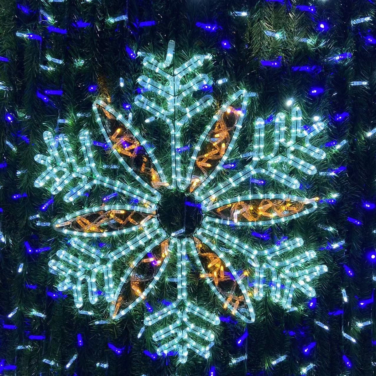 Warm white Christmas lights wrapped around the trees lining a retail street