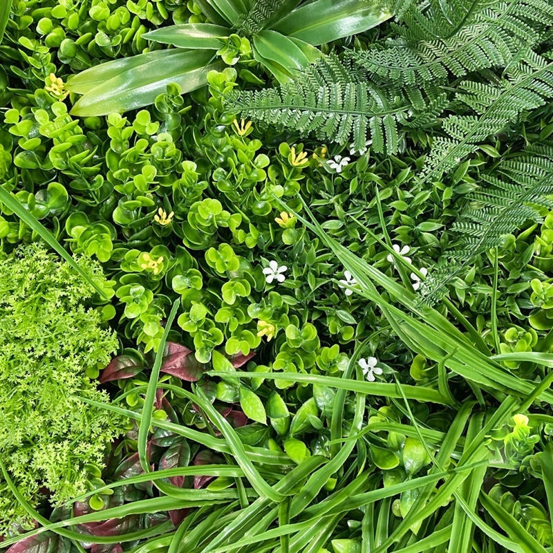 Close-up of the boxwood leaves and the small flower heads set among the greenery