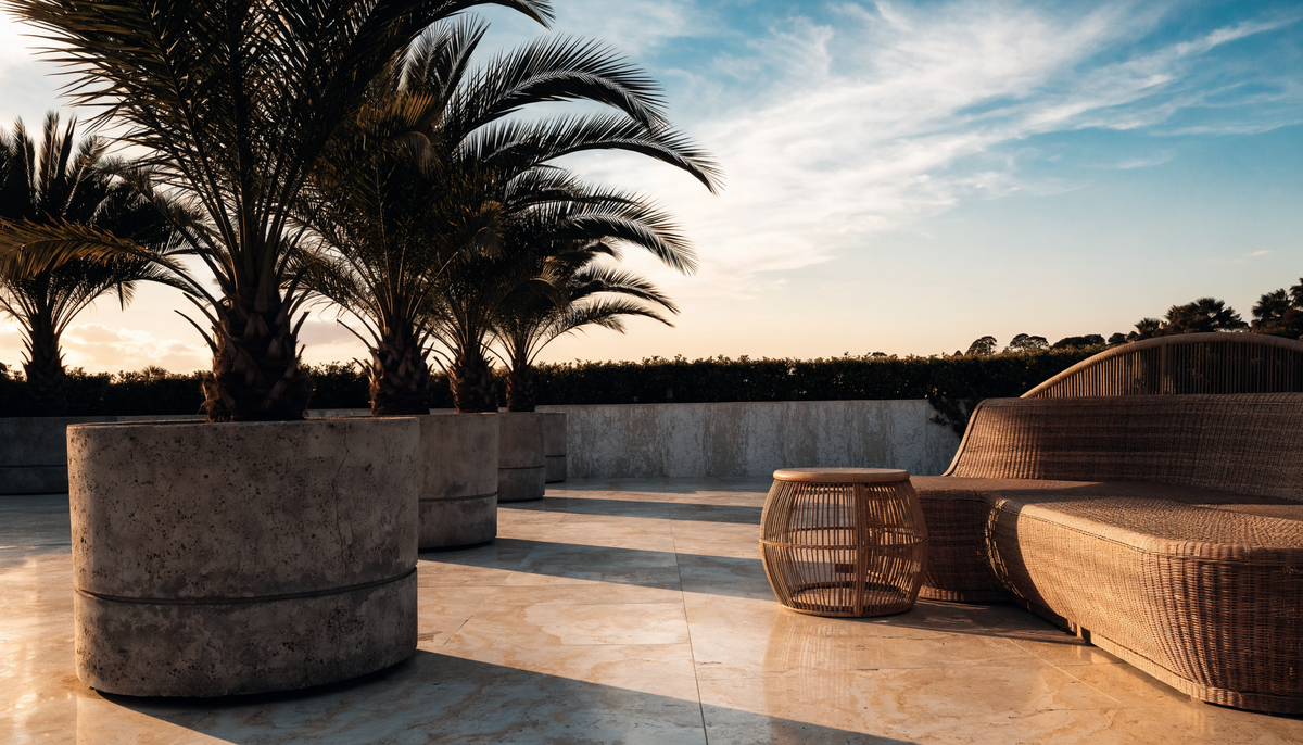 Outdoor terrace with artificial palm trees at golden hour