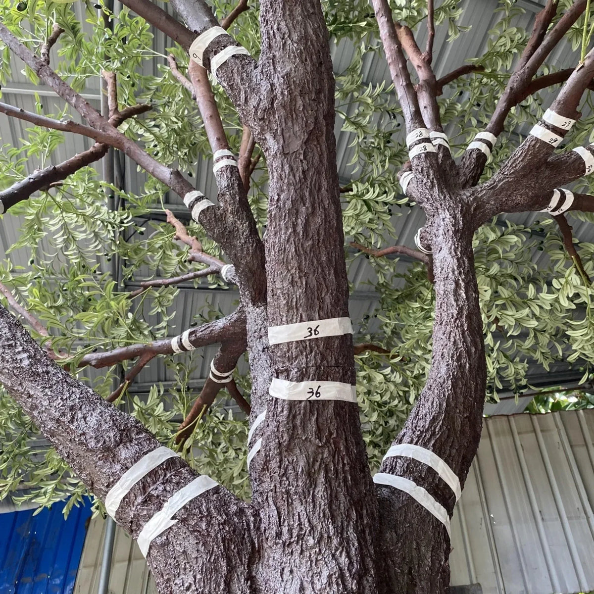 The trunk of the 12ft olive tree, moulded with gnarled olive bark texture